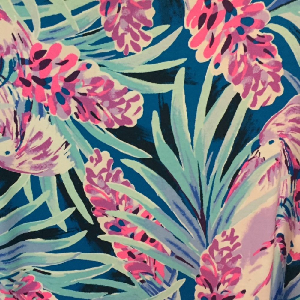 Lilly Pulitzer Blue and Pink Mini Dress - Picture 15 of 15